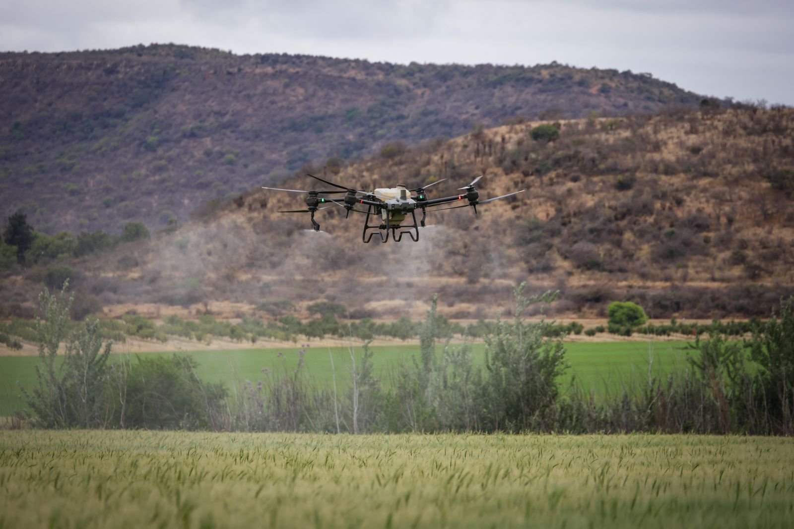 Drone Crop Monitoring Satara Road