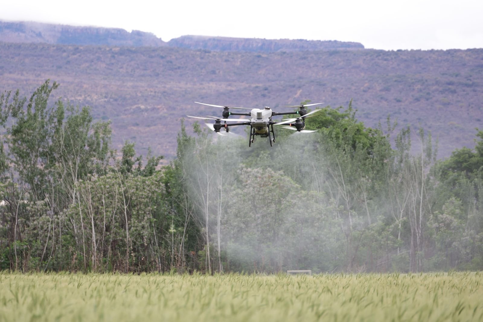Crop Health Monitoring NDVI Pune