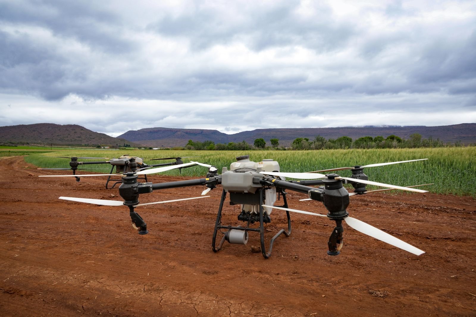 Weed Detection Control Drones