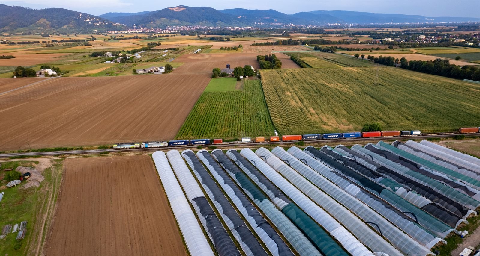 Cold Chain Logistics