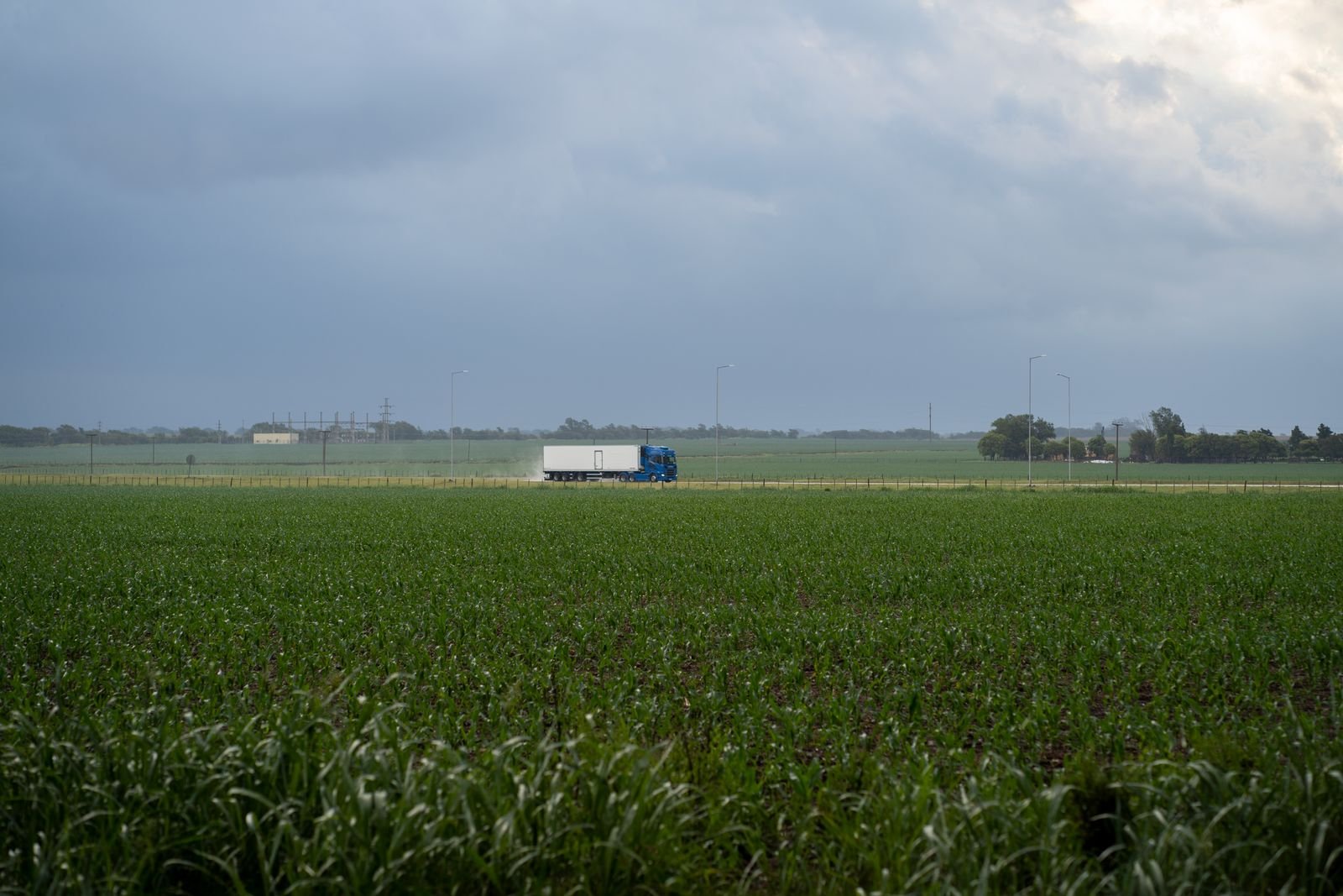 Grain Handling & Processing