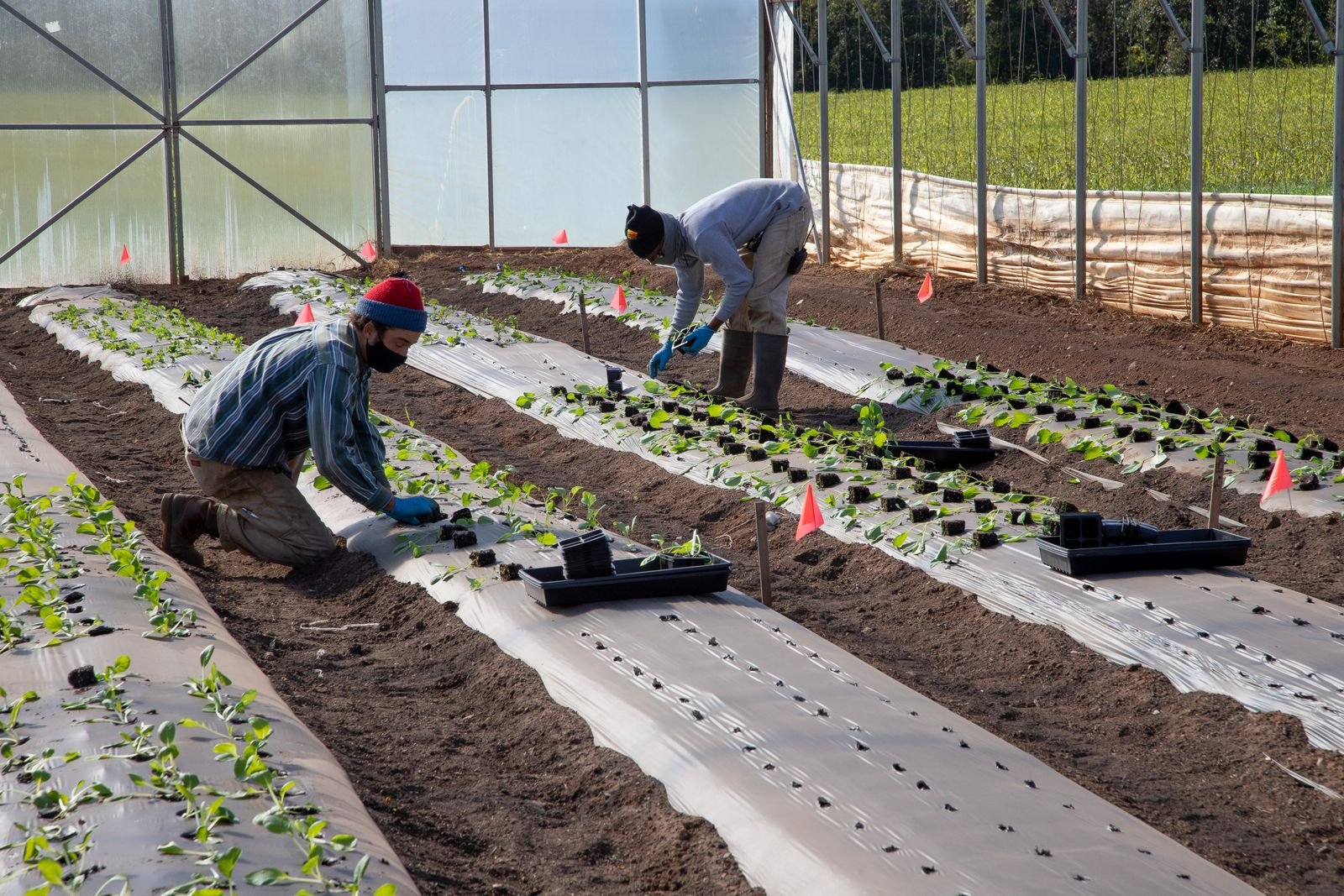 Soil Health Management Training