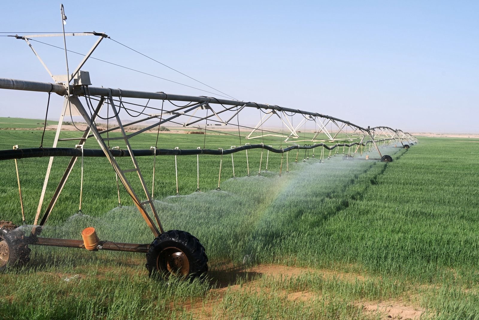 Crop Protection & Pest Management