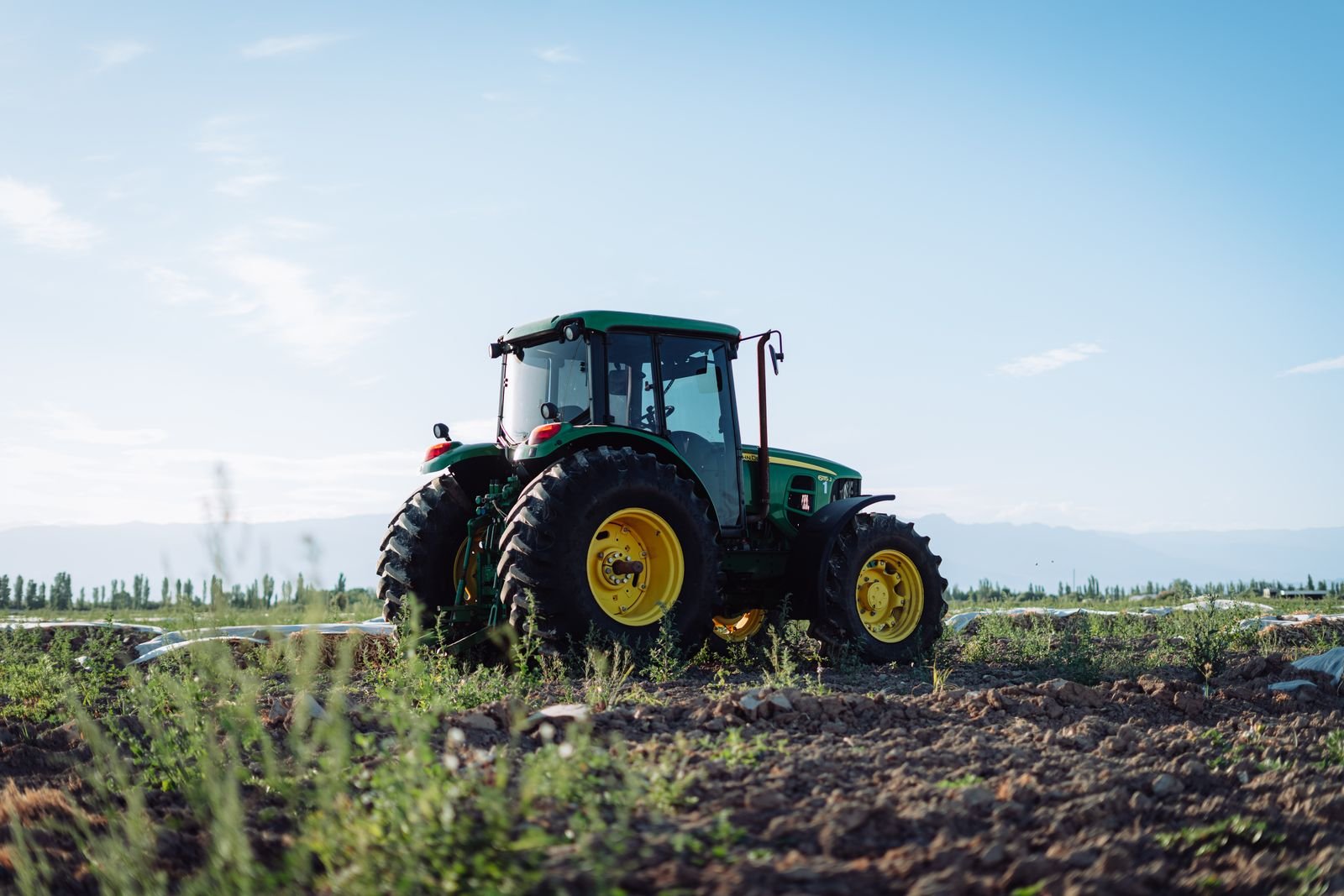 Post-Harvest Management