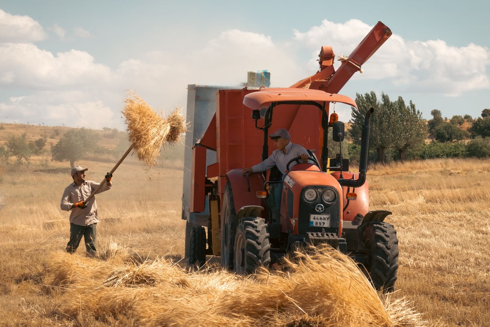 Agri-Business & Marketing