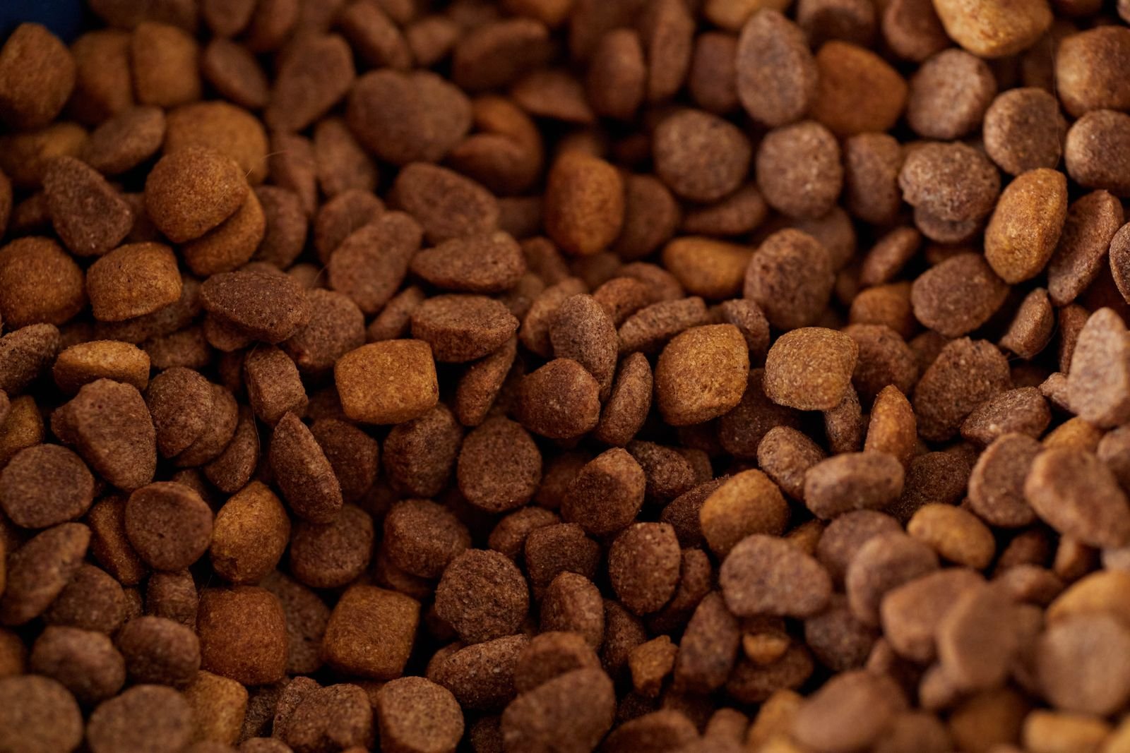 Cattle Feed & Forage Solutions