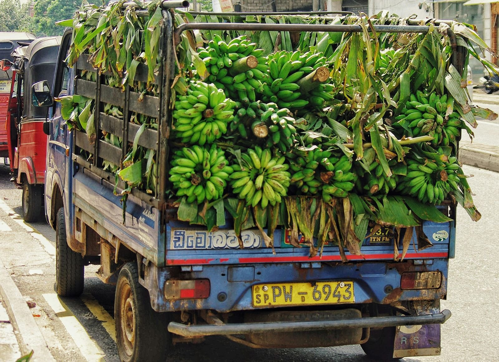 Cold Chain Logistics