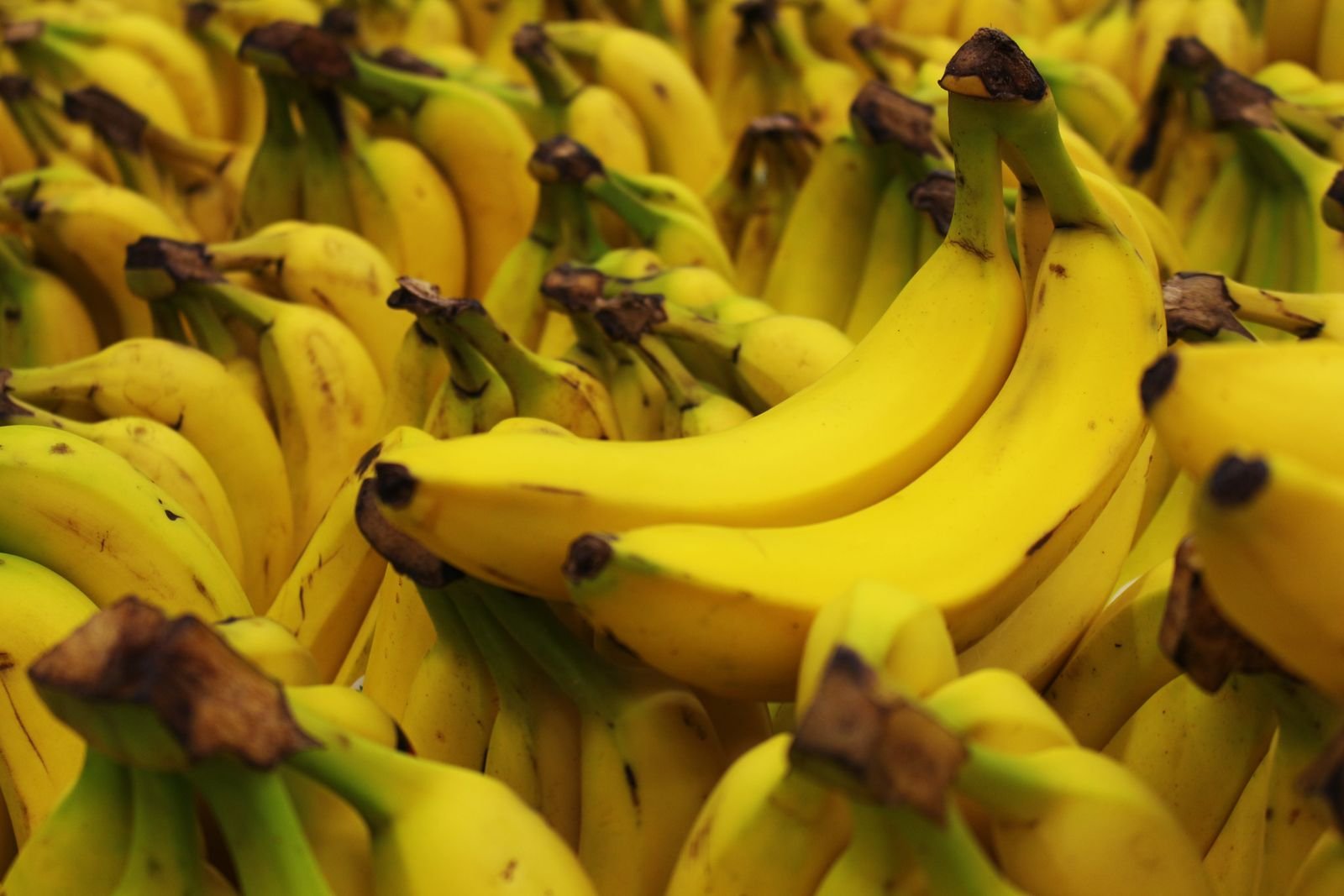 Bulk Wholesale Supply
