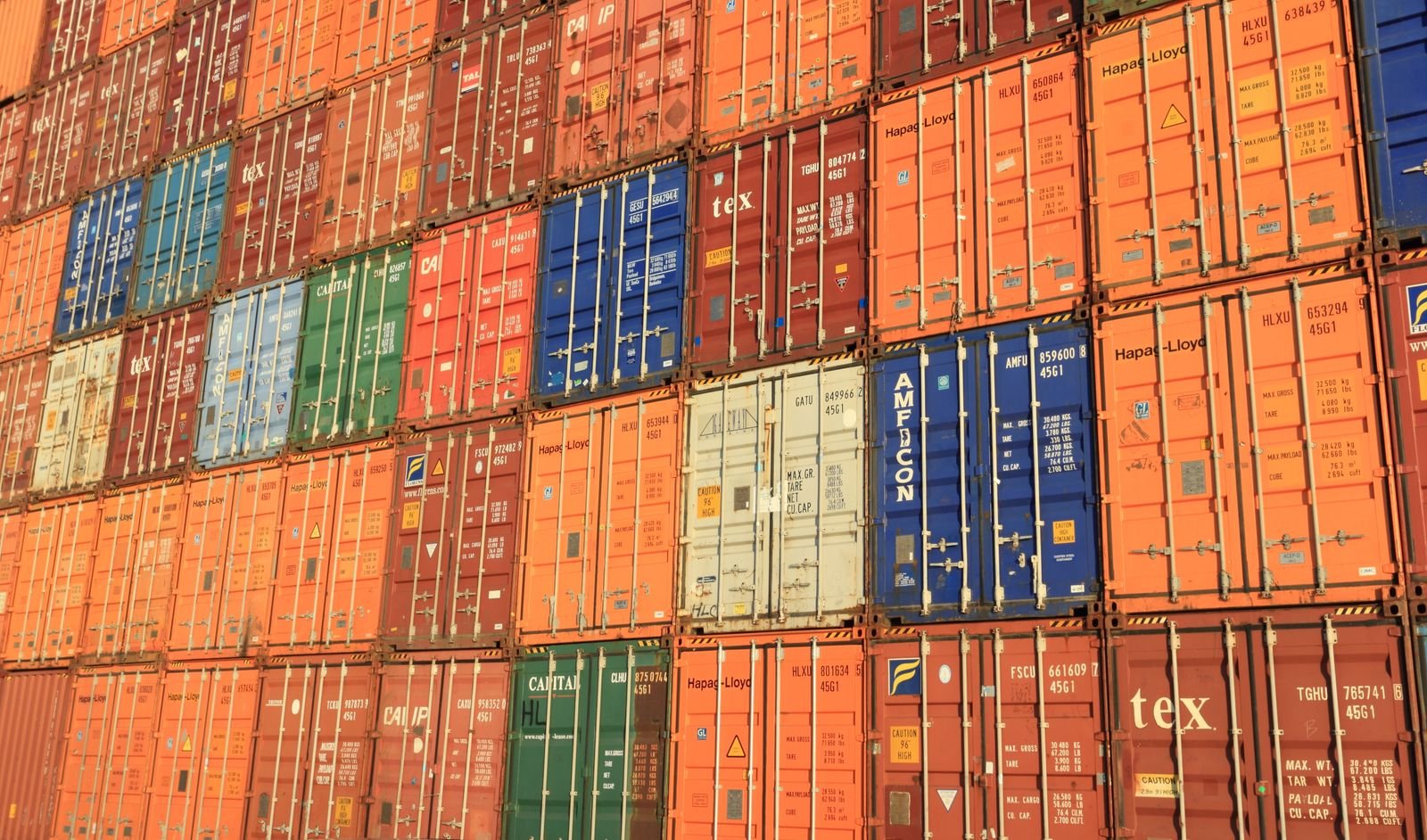 Fresh Carrots Export