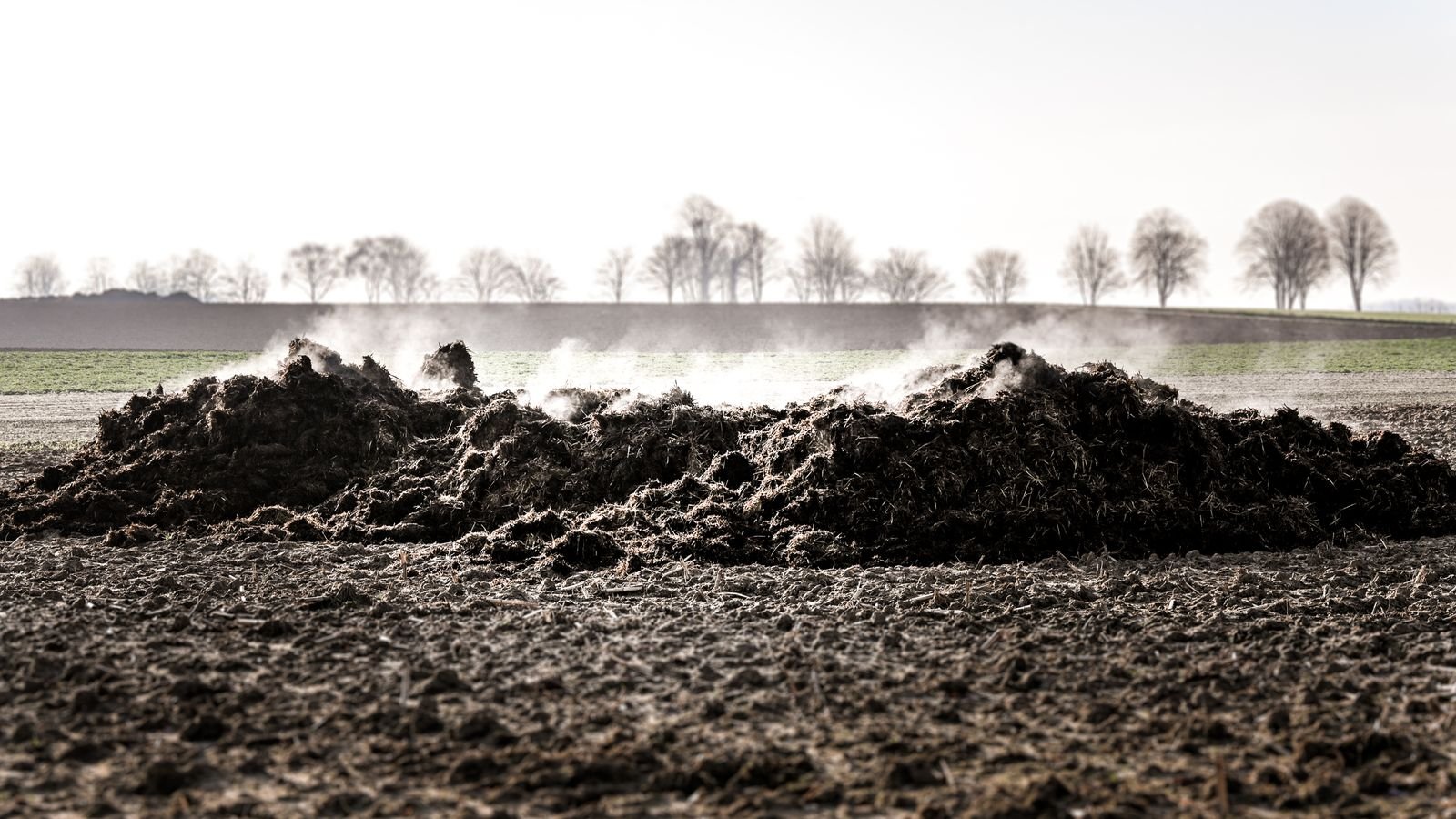Organic Fertilizer Export