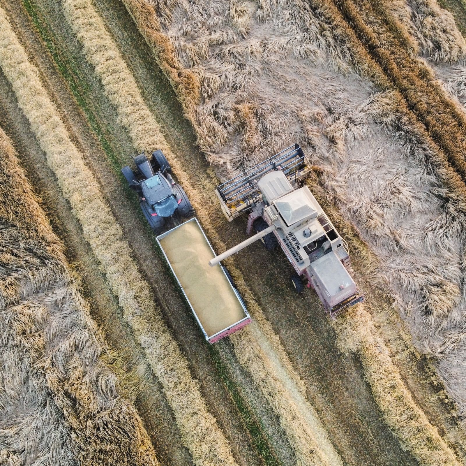 Farm Equipment Sourcing