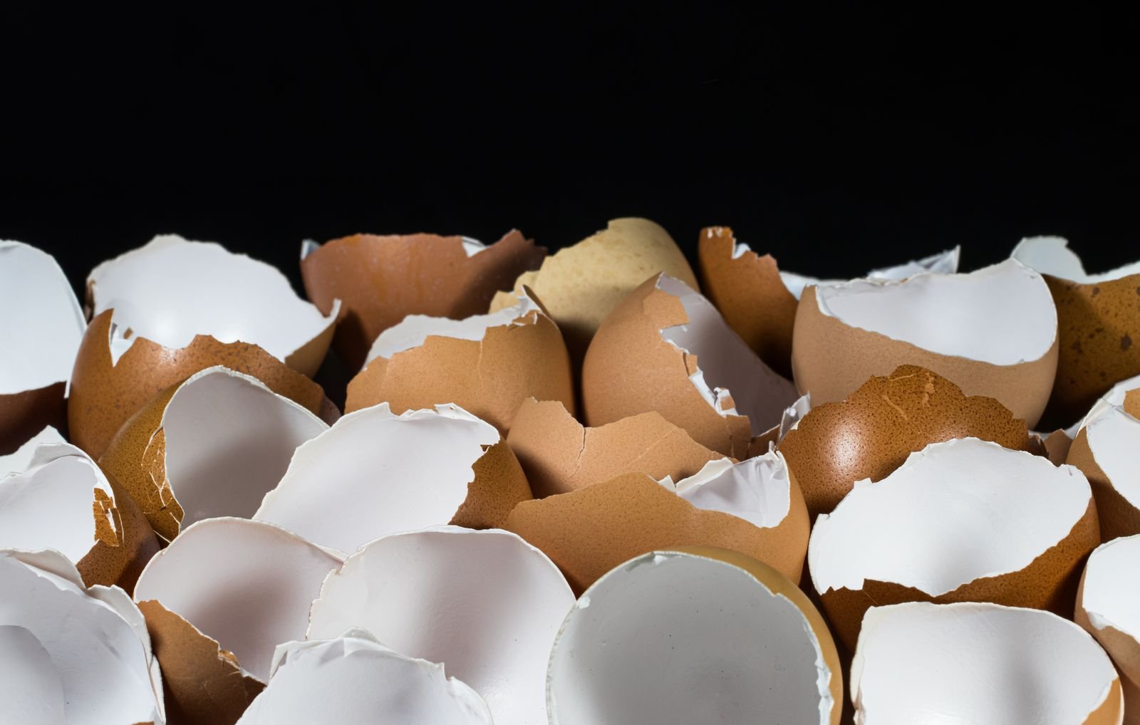 Compost Export Services