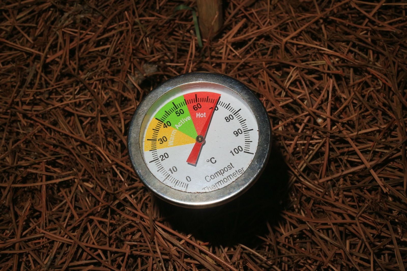 Bulk Compost Supply