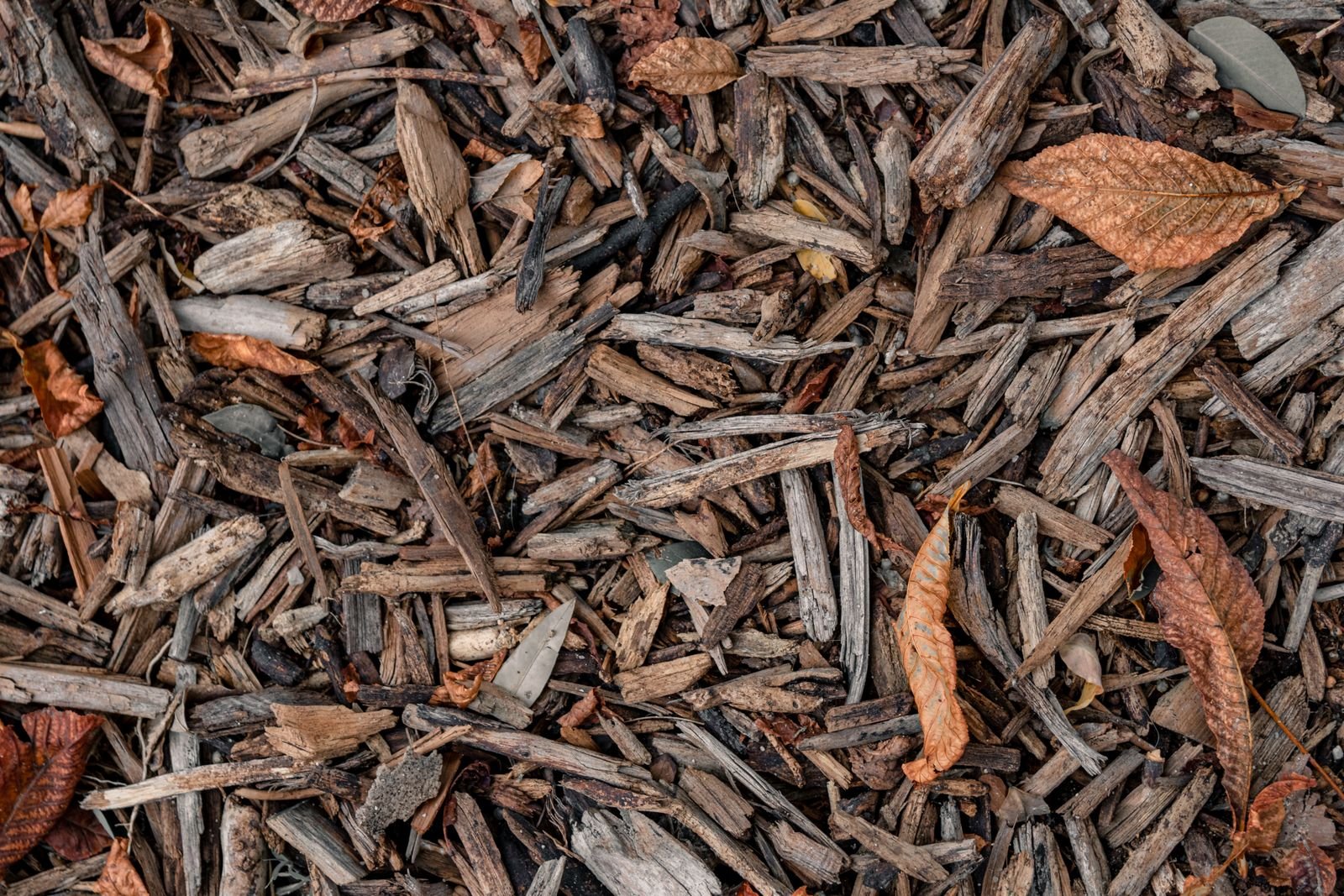 Seasonal Compost Distribution