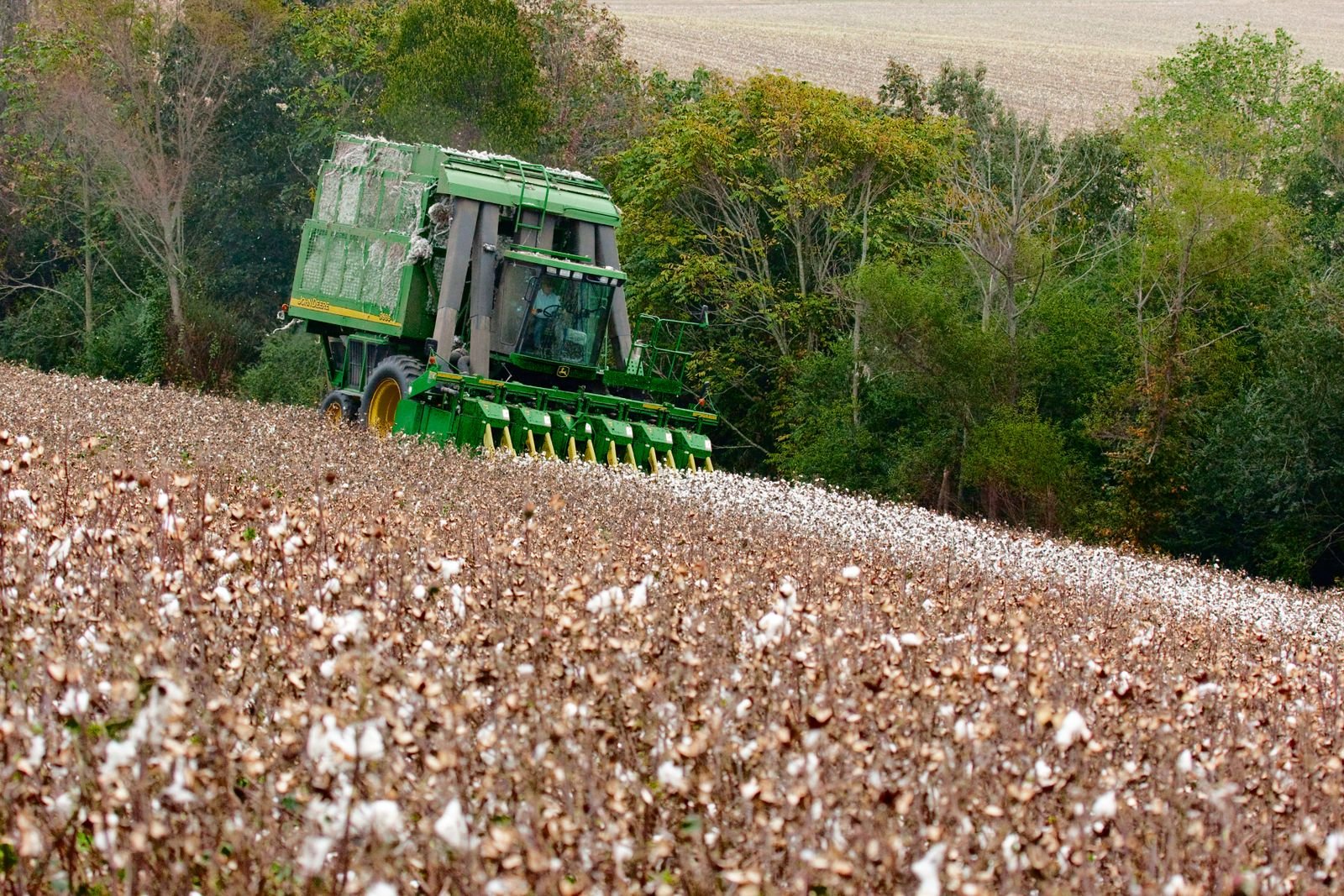 Cotton Import Export Thane India