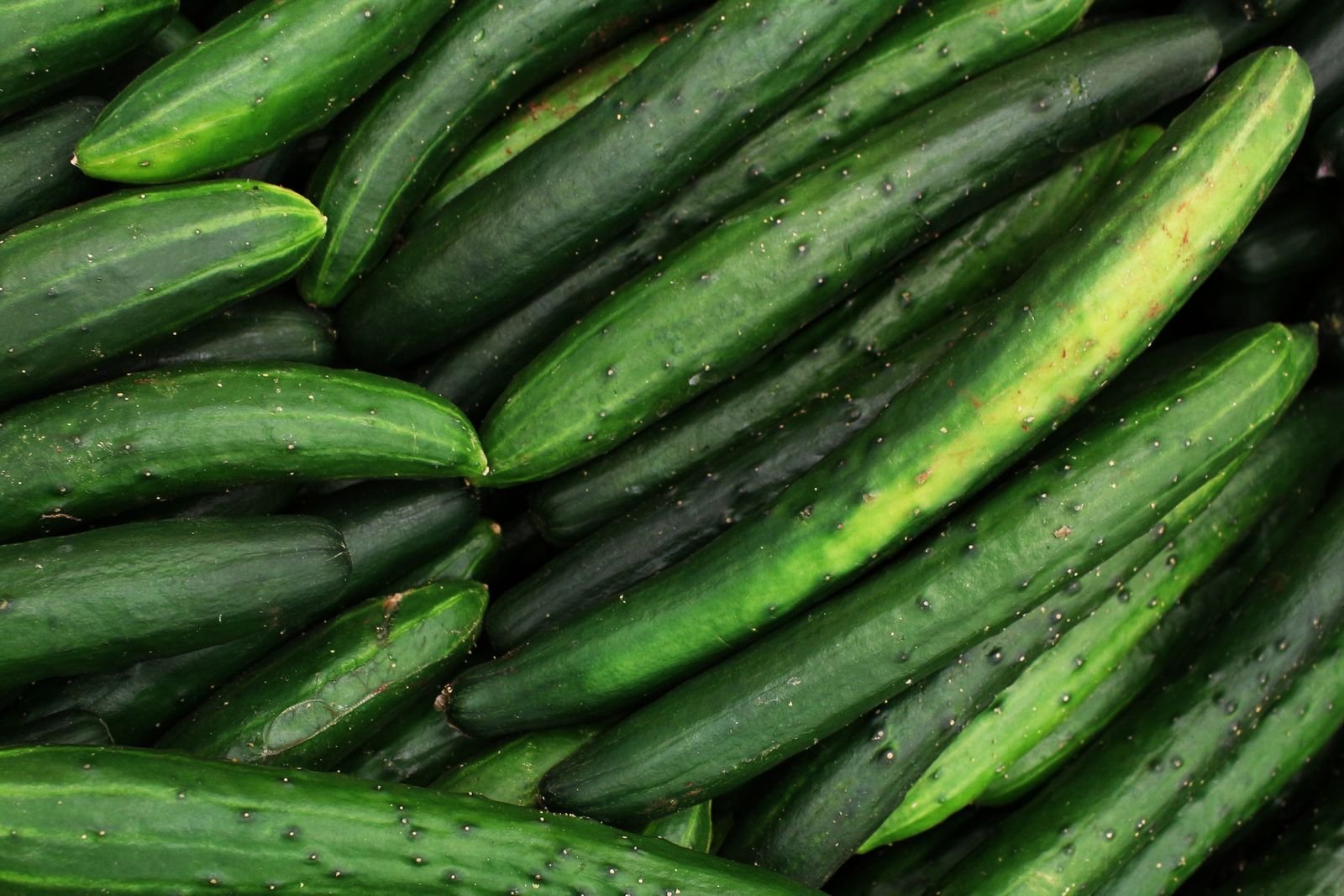 Bulk Wholesale Supply
