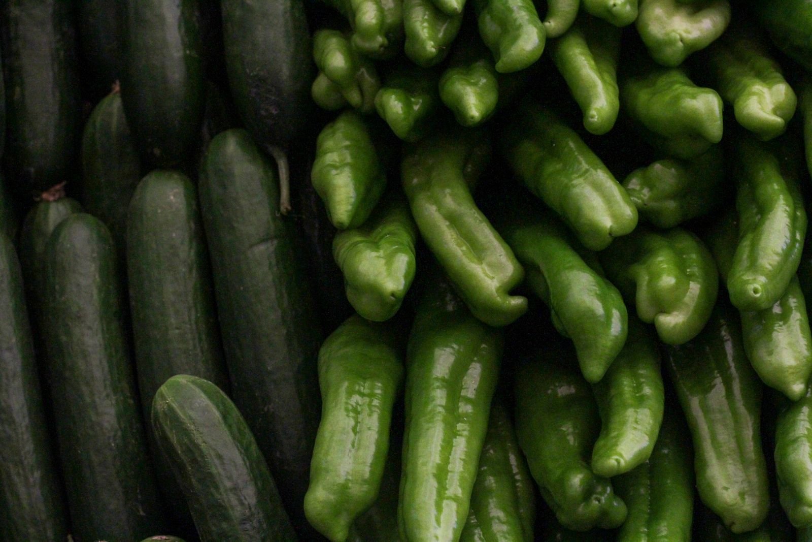 Agricultural Trade Consulting