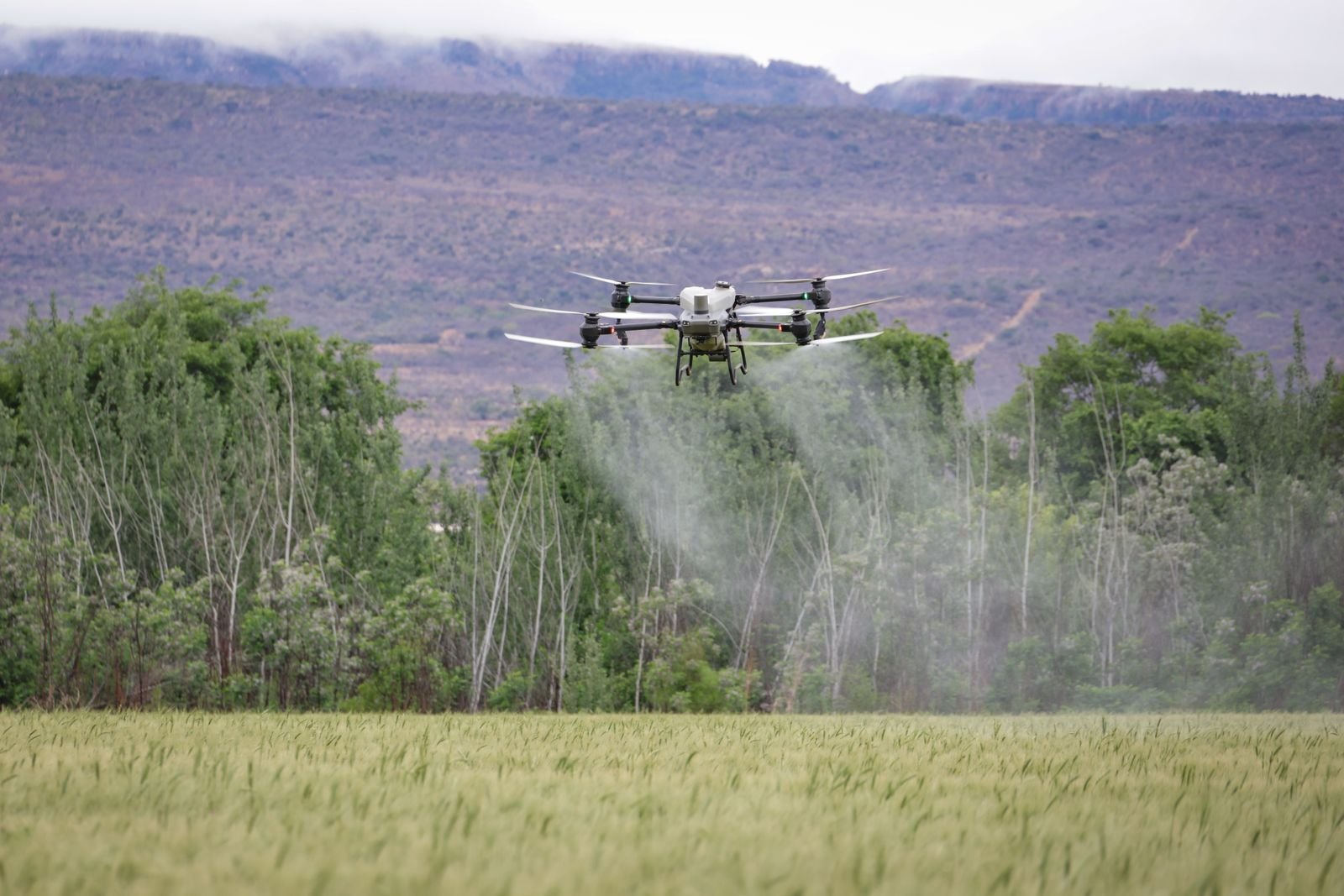 Smart Farming Solutions
