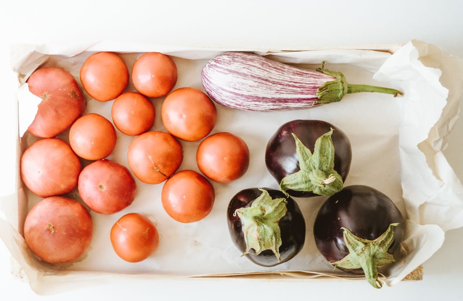 Eggplant Export Services