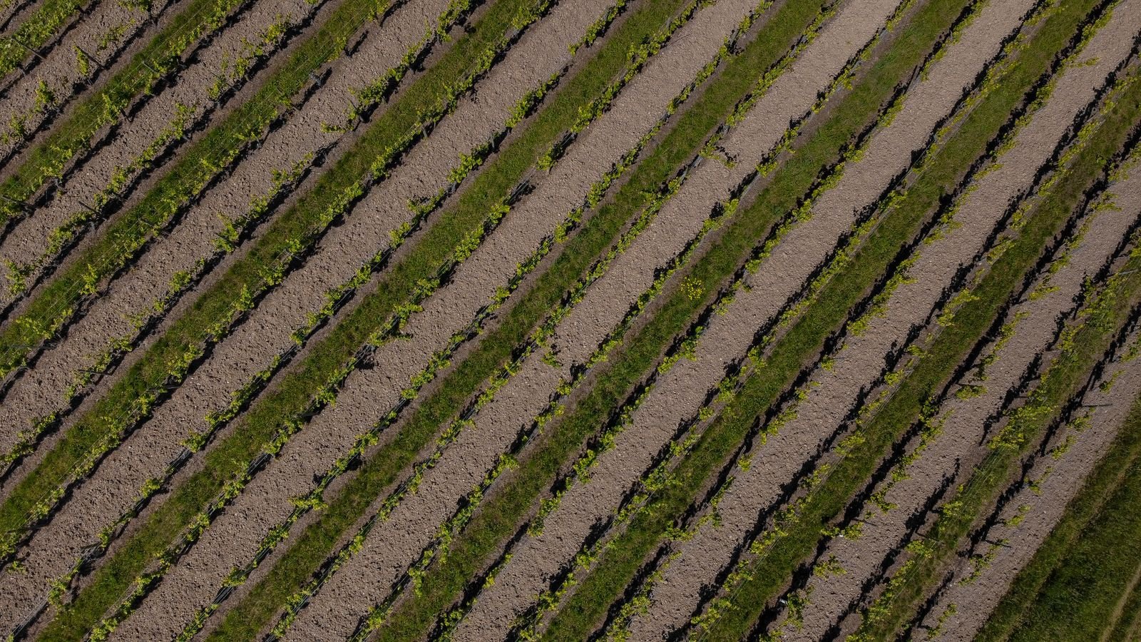 Crop Planning & Rotation Management - Mathura