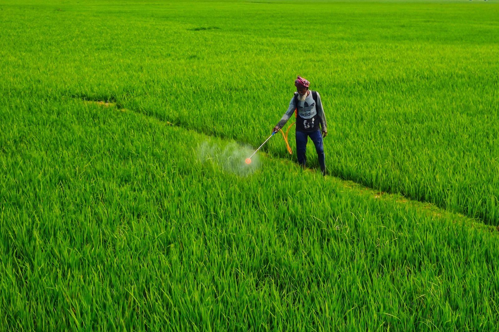 Copper Fungicides
