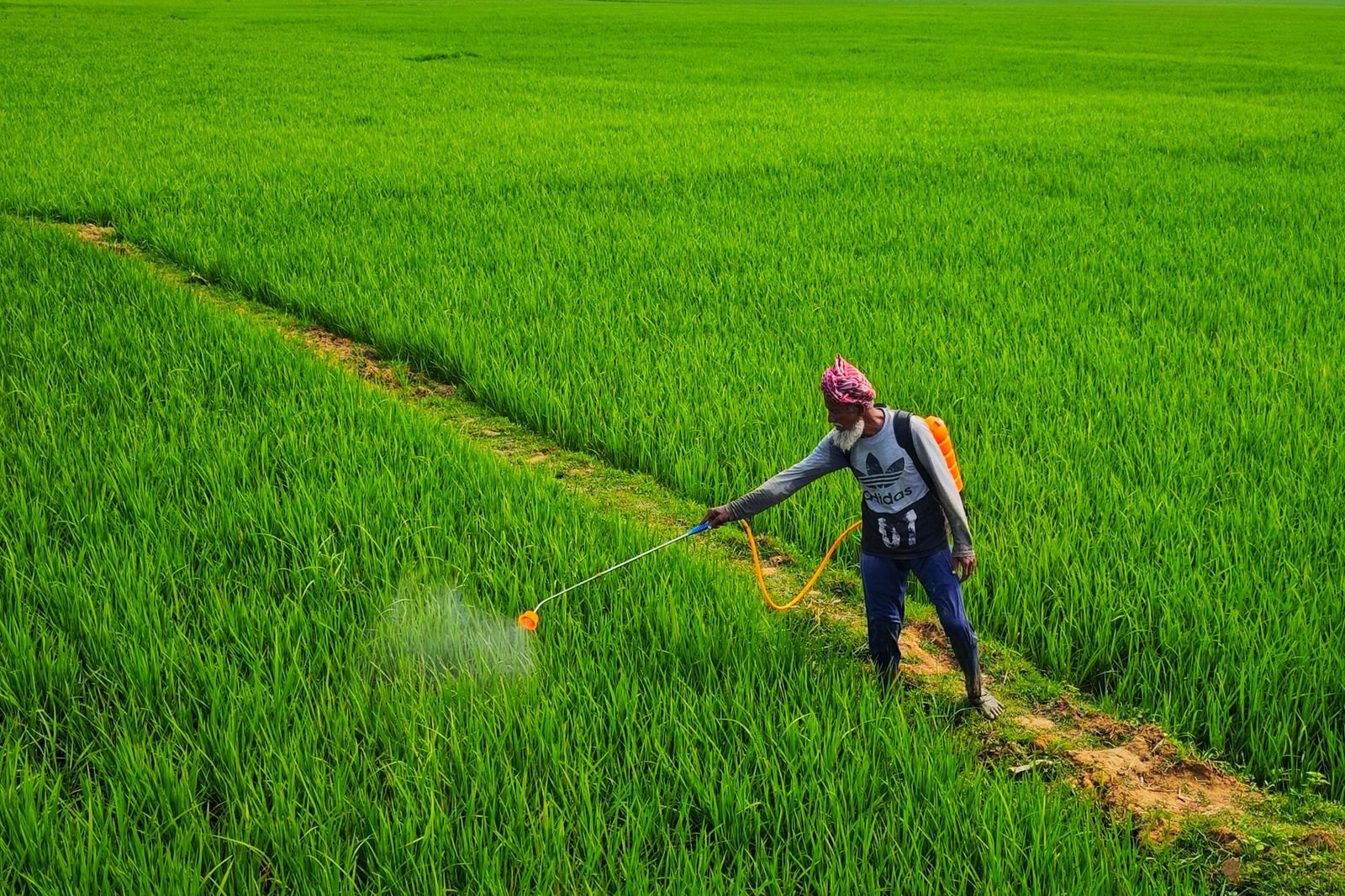 Specialty Fungicide Blends