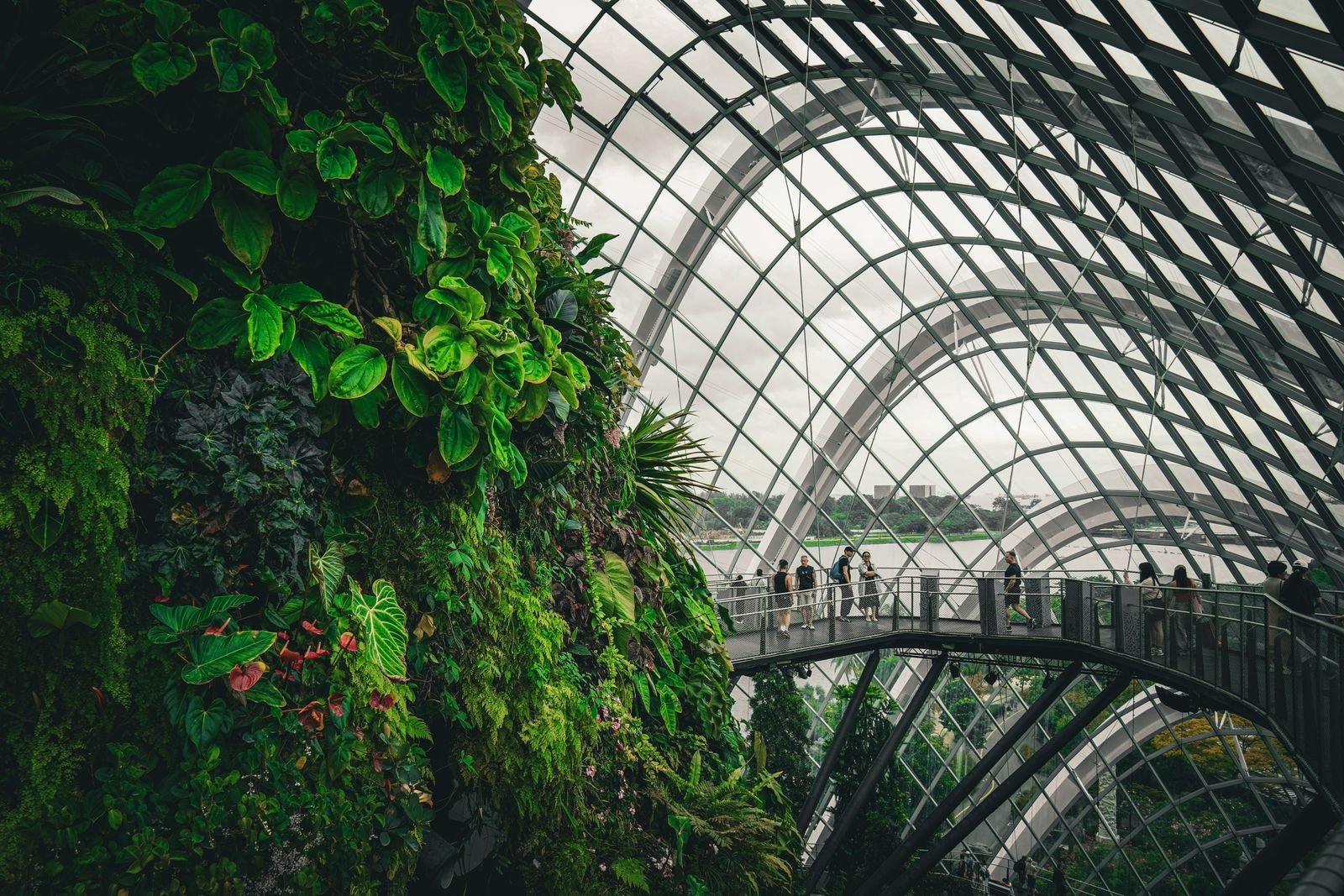 Climate Control Systems Greenhouse Sewri