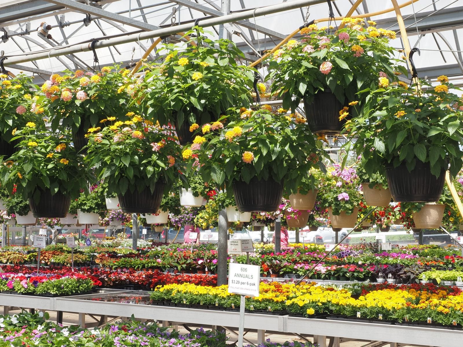 Greenhouse Materials Import Export - Premium Quality