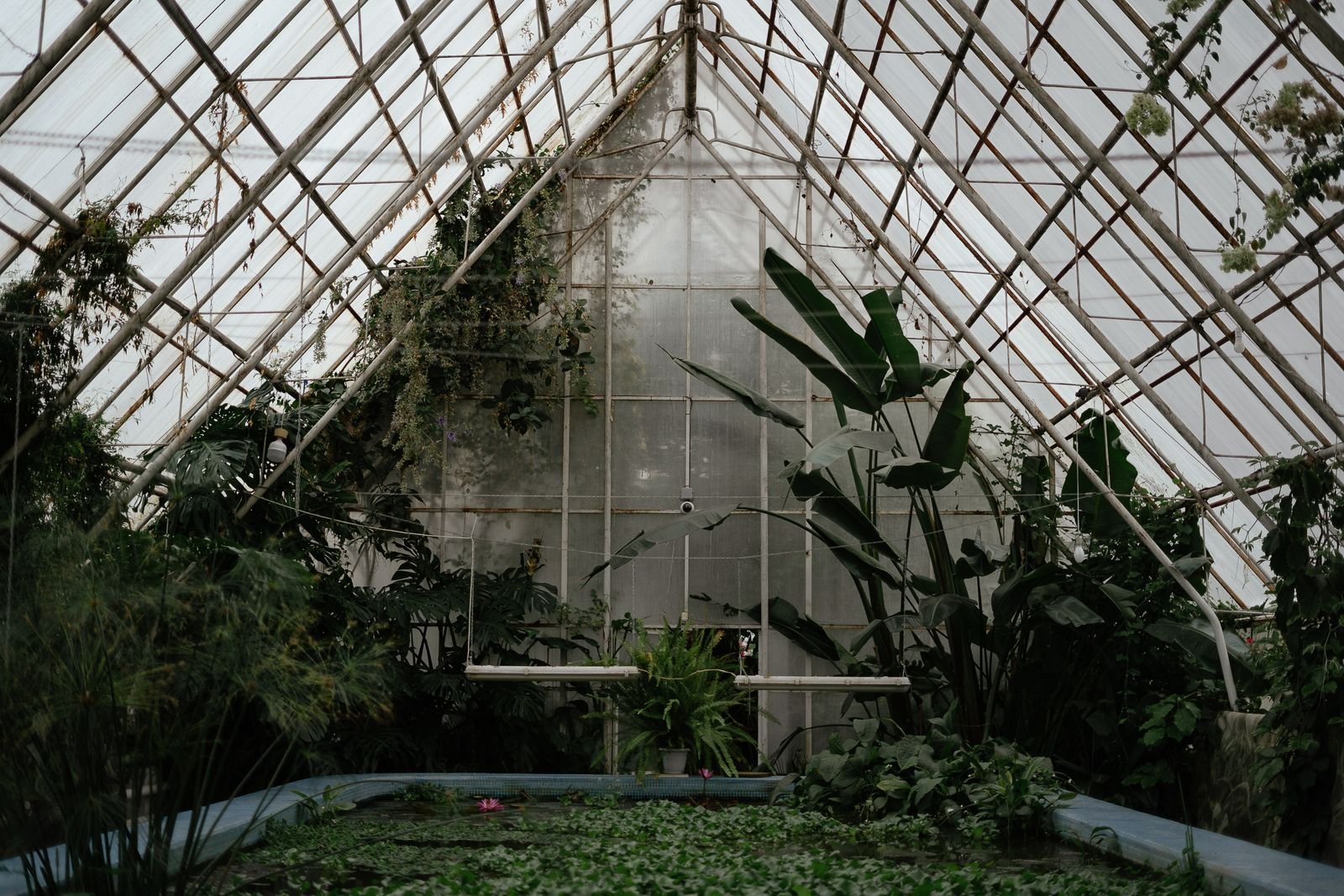 Global Greenhouse Supply Chain
