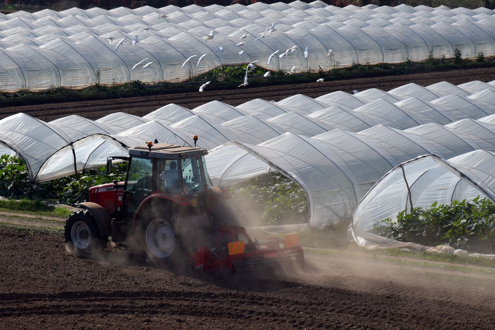 Complete Greenhouse Solutions