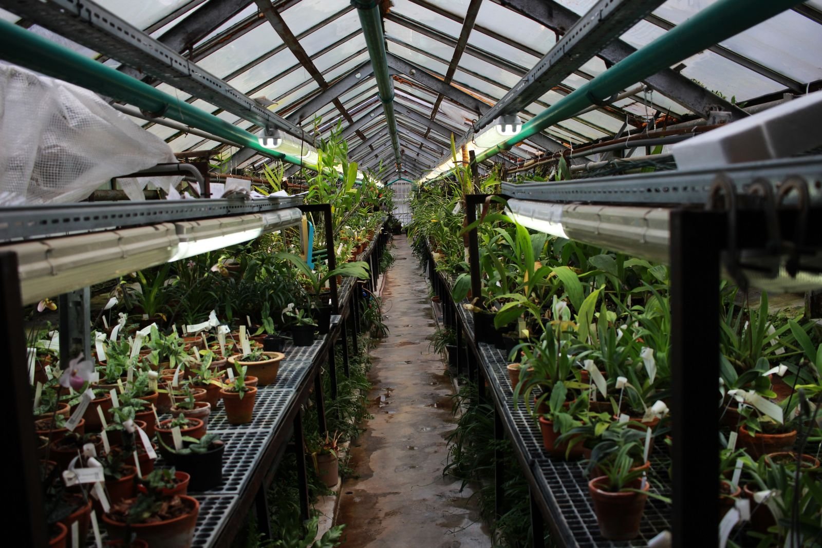 Drip Irrigation Systems