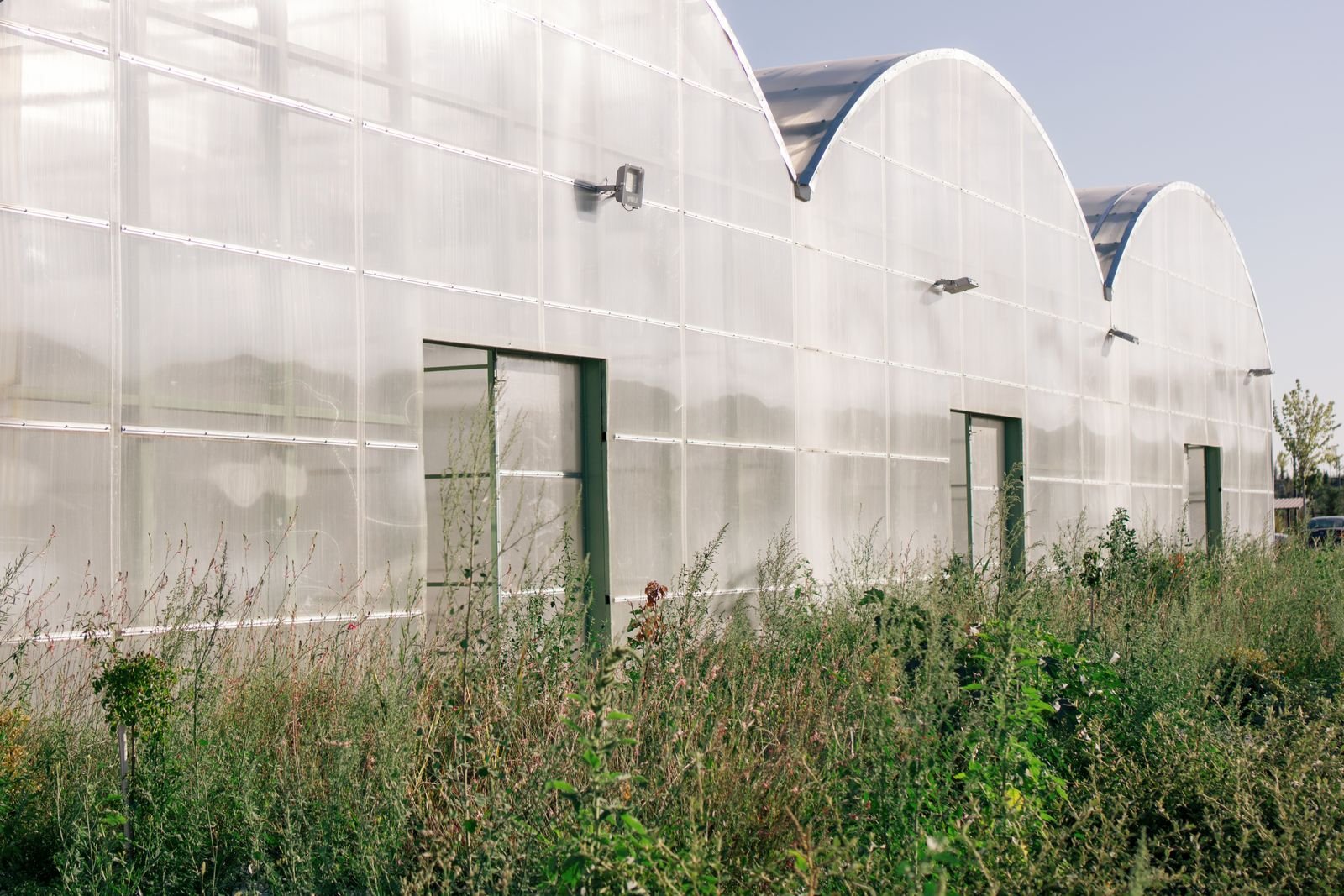 Greenhouse Ventilation Systems