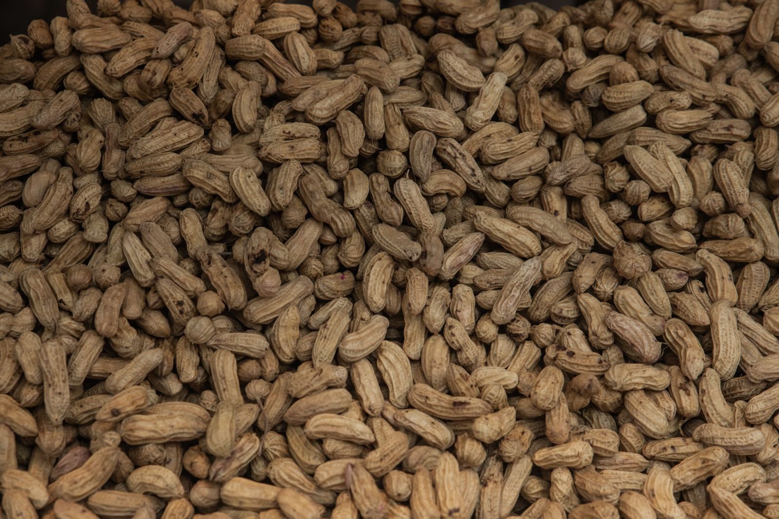 Blanched Groundnuts