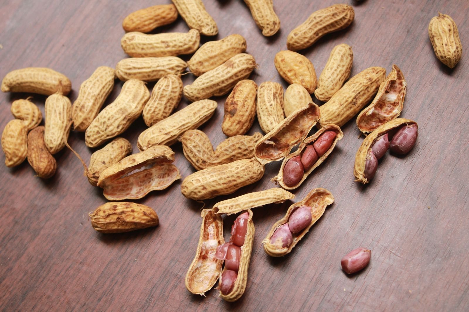 Groundnut Meal/Cake