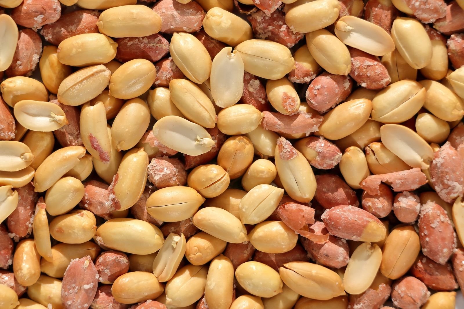 Groundnut Seeds