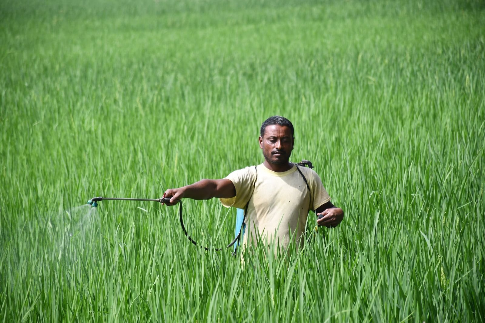 Selective Herbicides Import Export Pune