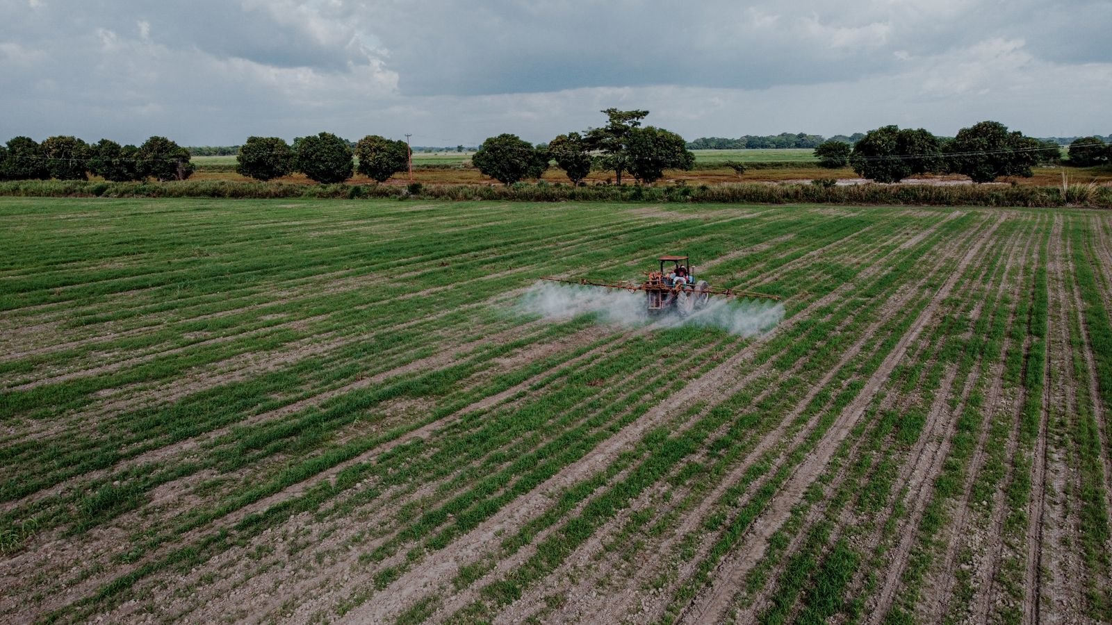 Pre-Emergent Herbicides India