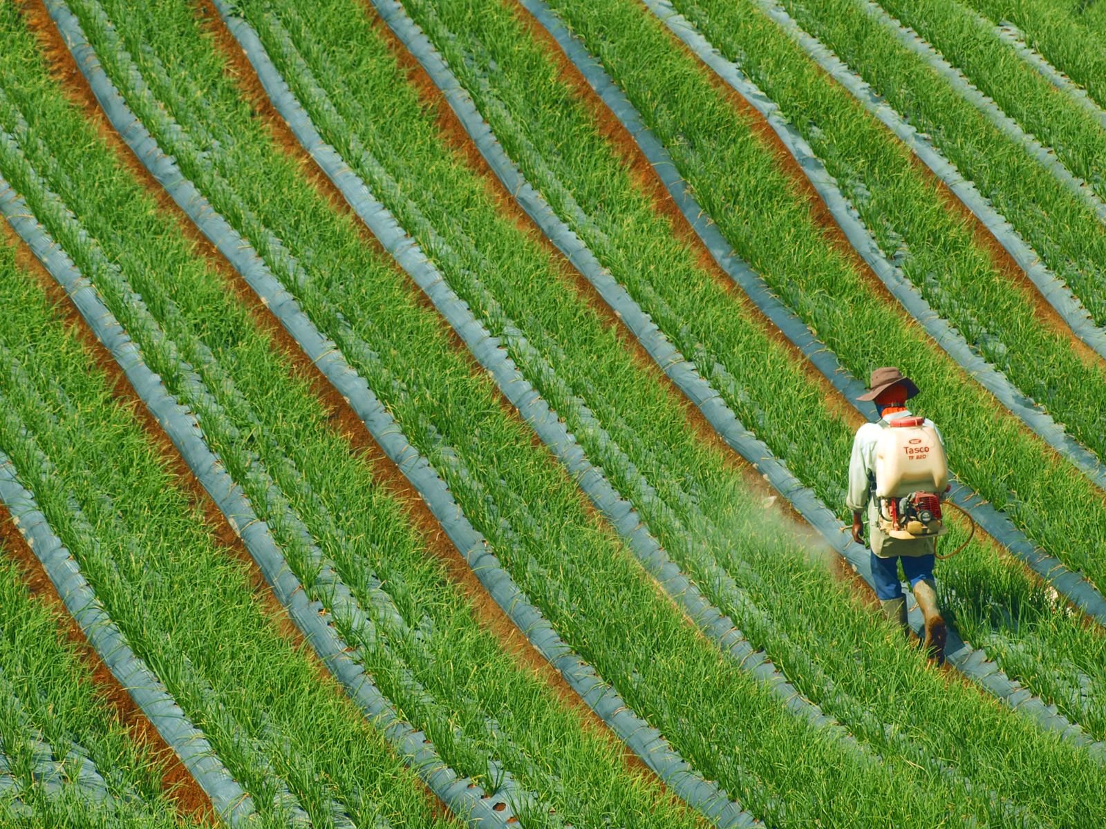 Organic Herbicide Solutions India