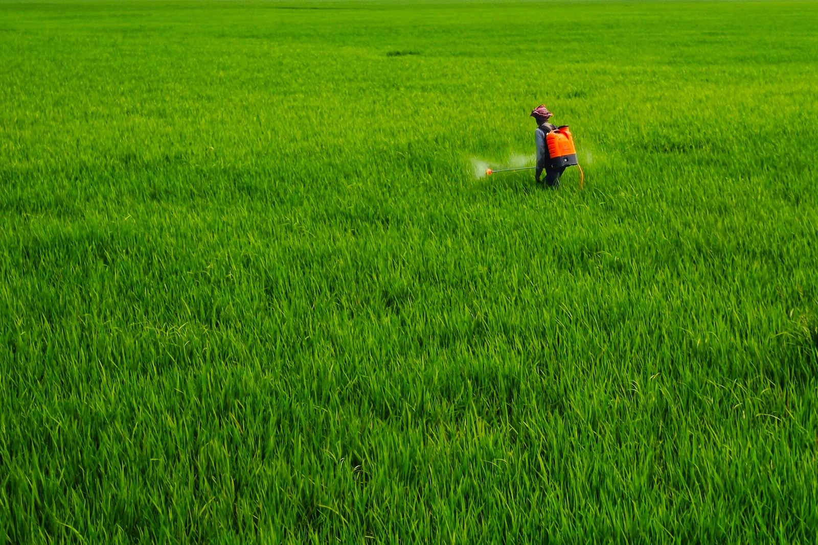 Custom Herbicide Blending Pune