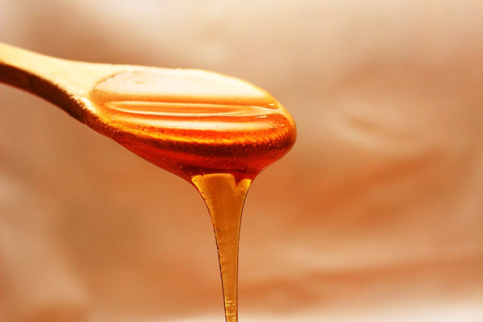 Raw Organic Honey