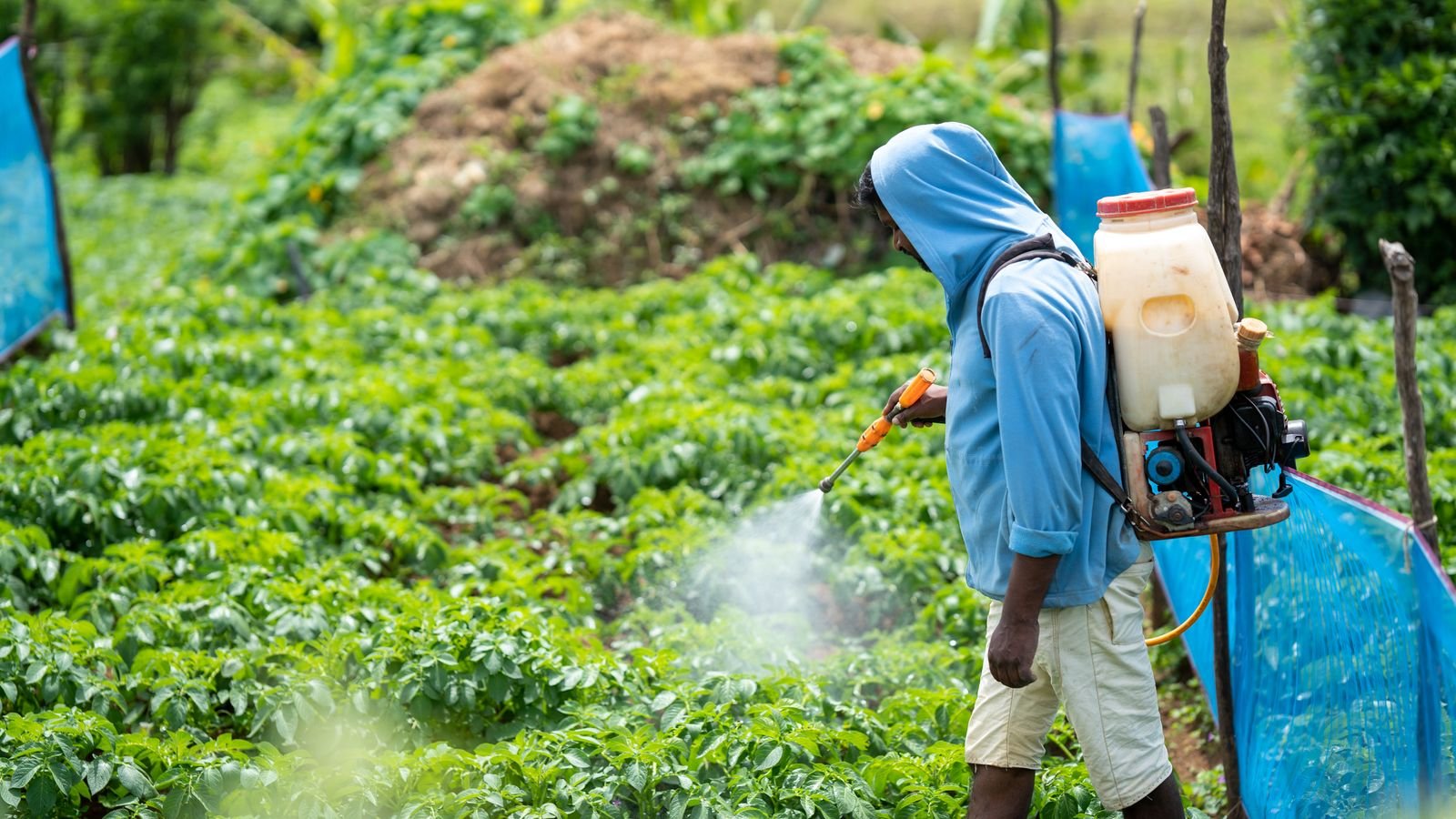 Insecticides Import Export Bhopal India