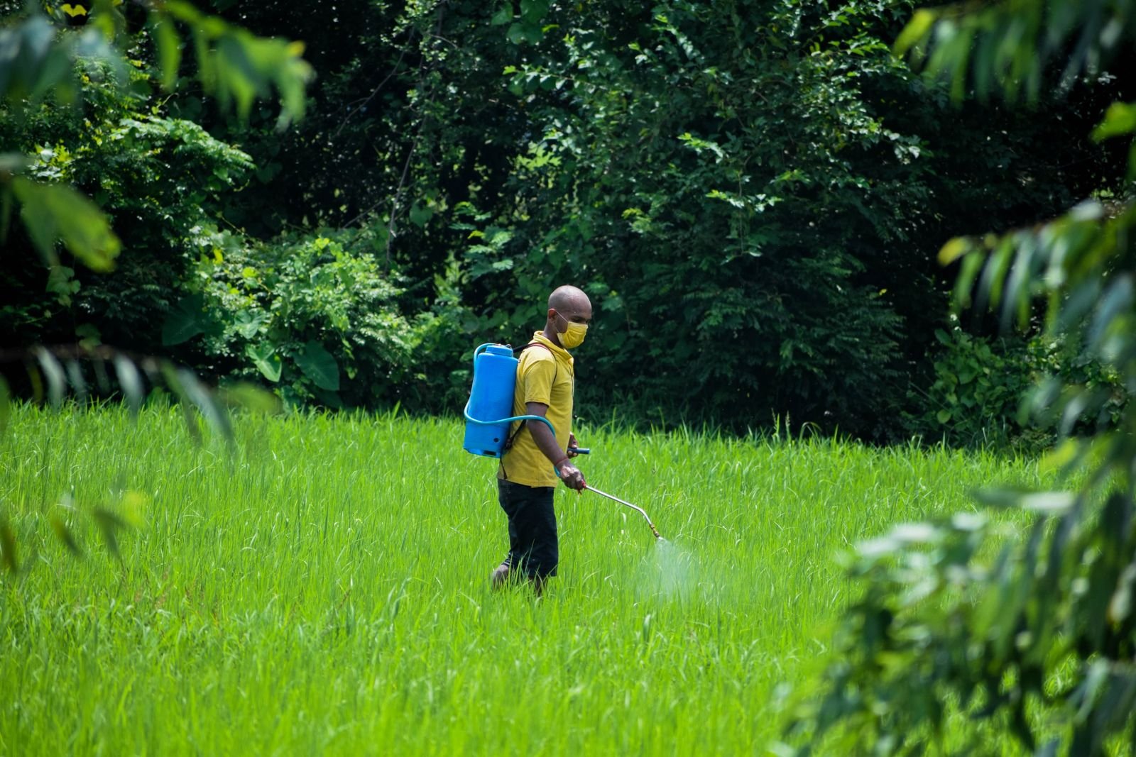 Organic Bio-Pesticides