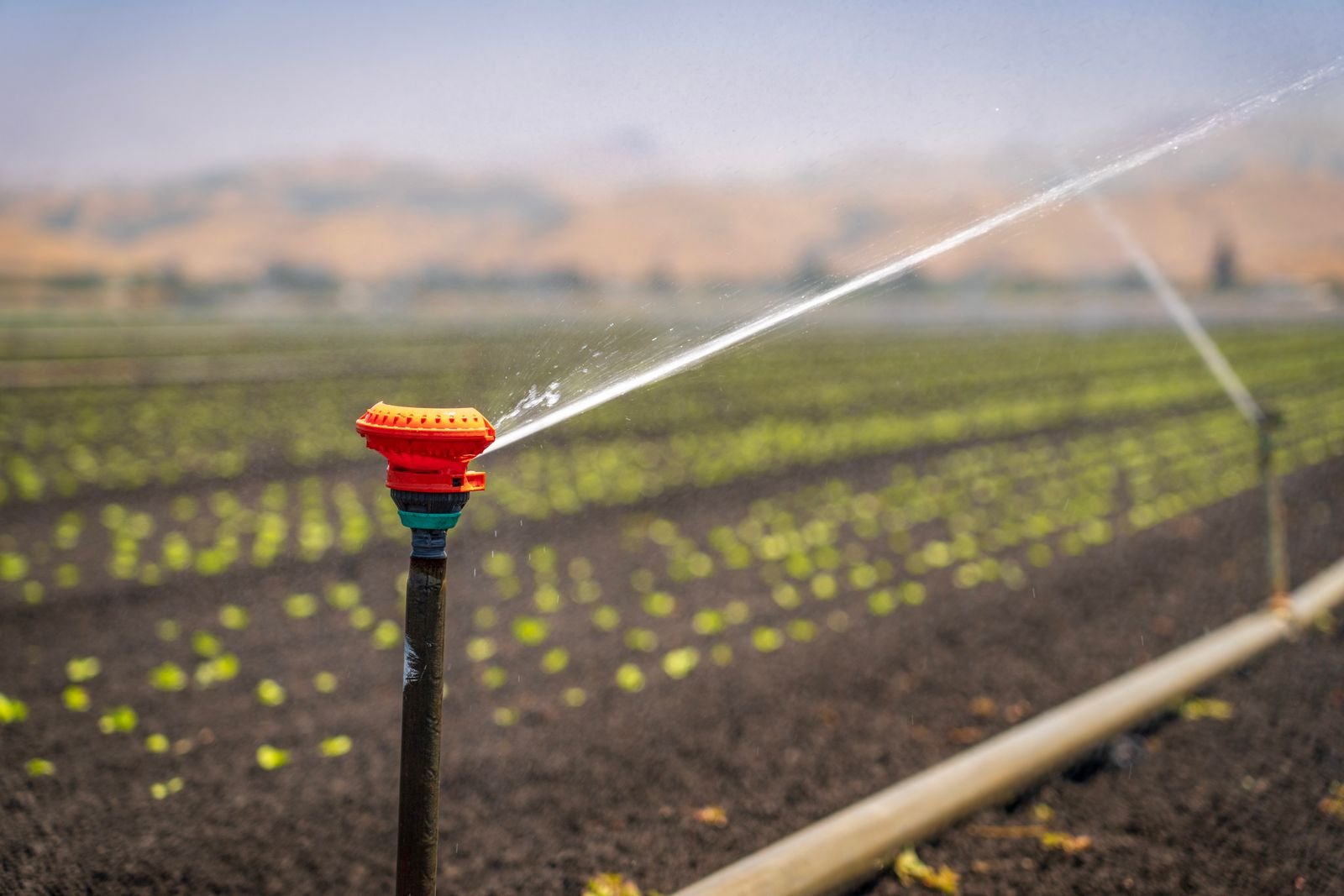 Agricultural Pumps