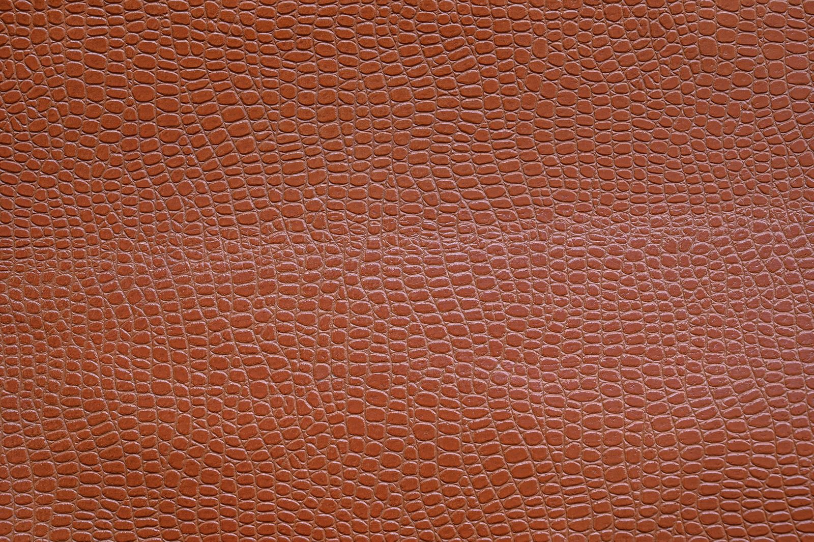 Leather Import Services