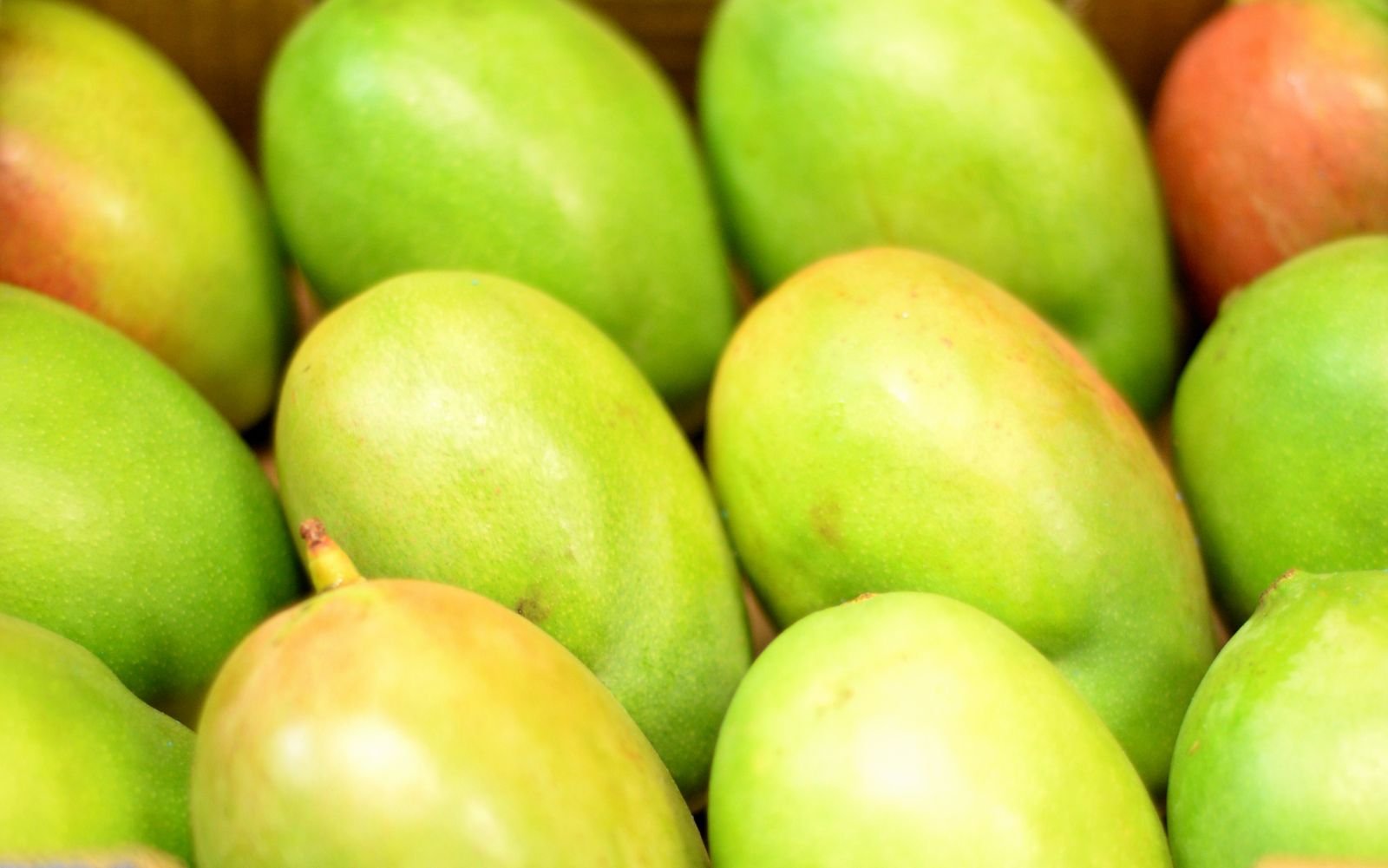 Mango Import Services