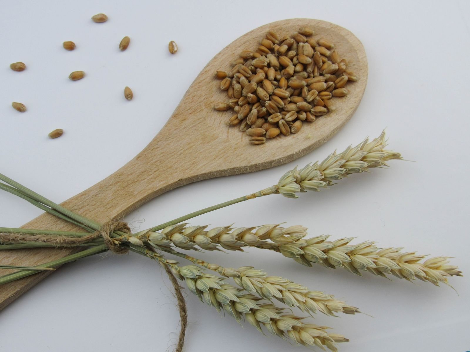 Premium Pearl Millet