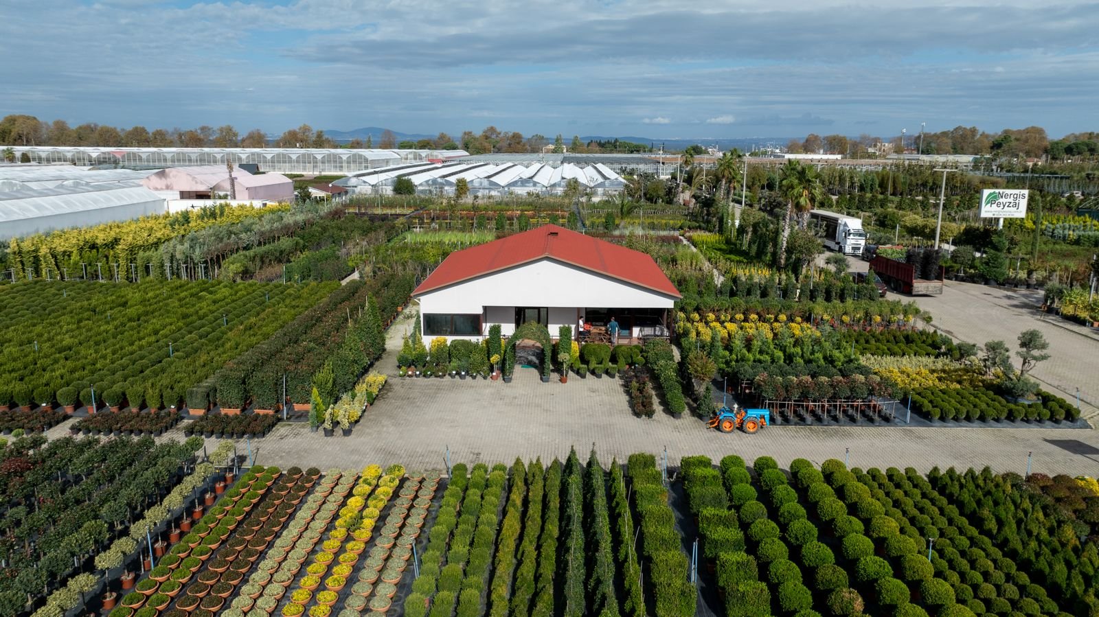 Landscape Plant Trading