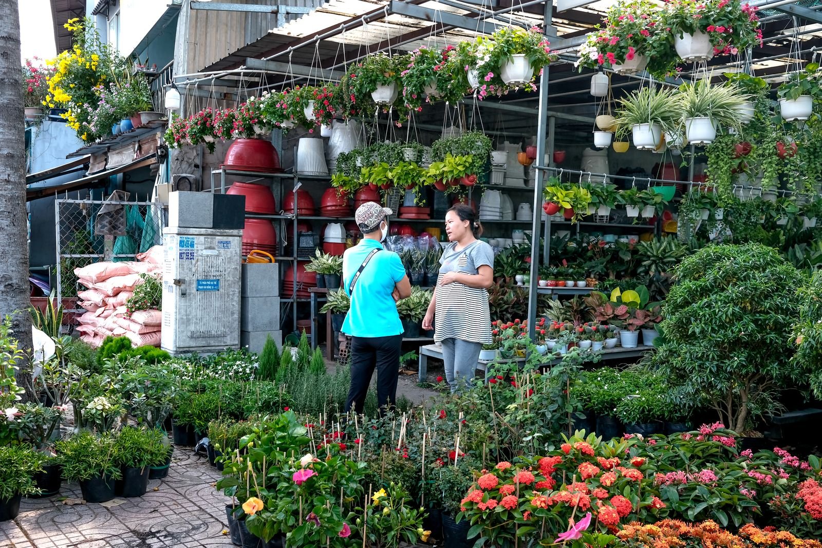 Seasonal Flower Export