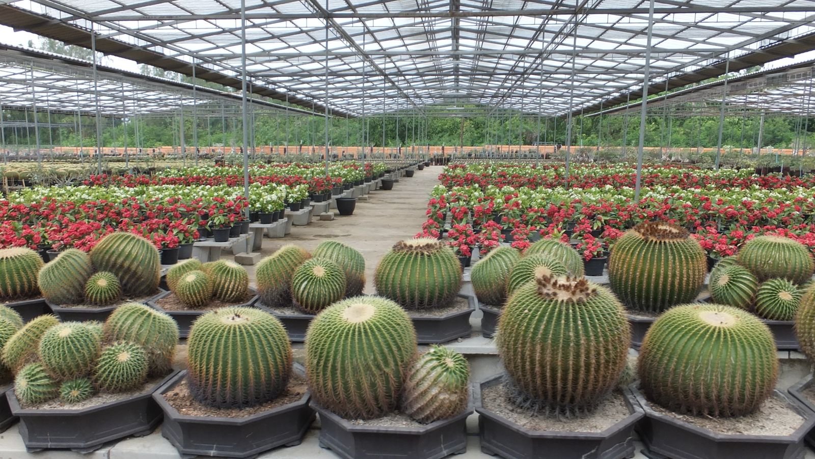 Plant Care Products