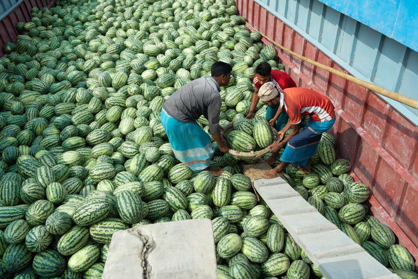Cold Chain Logistics